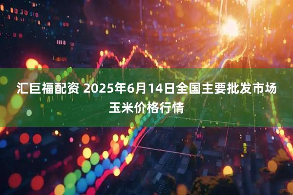 汇巨福配资 2025年6月14日全国主要批发市场玉米价格行情