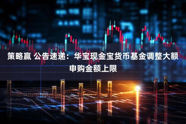 策略赢 公告速递：华宝现金宝货币基金调整大额申购金额上限