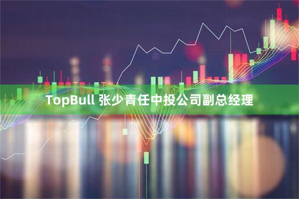 TopBull 张少青任中投公司副总经理