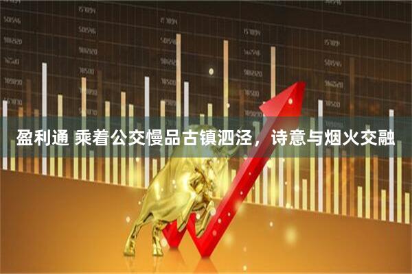 盈利通 乘着公交慢品古镇泗泾，诗意与烟火交融